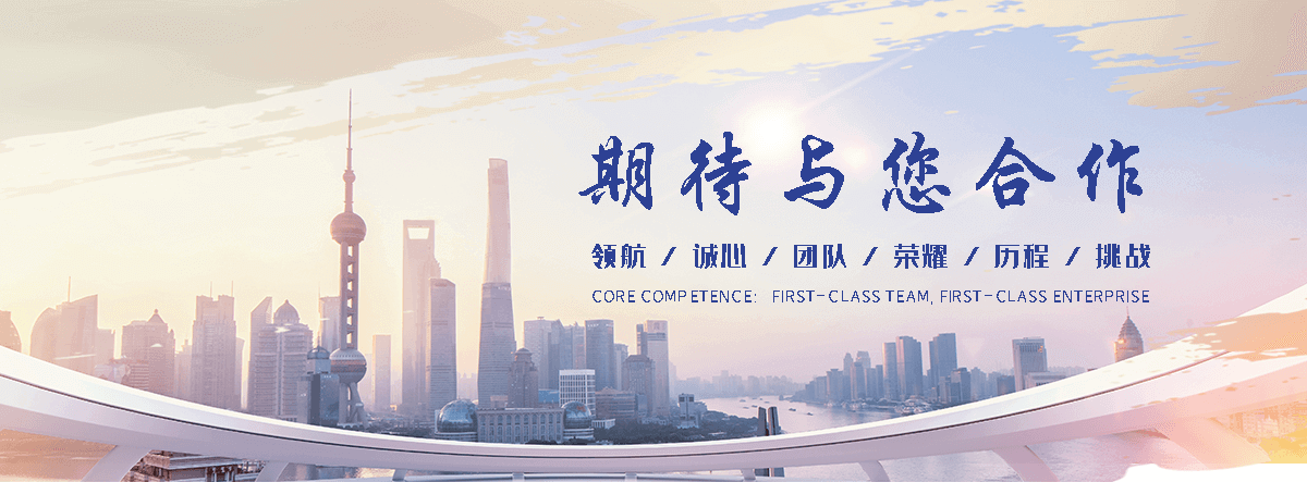 赞皇网站S.E.O排名